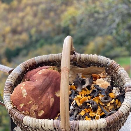 Domaine Le Verdier Saint-Michel-de-Deze Bagian luar foto